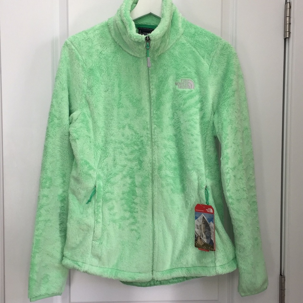 The North Face Osito 2 Jacket—Green Ash